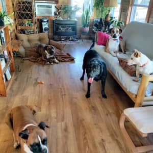 Sitter Profile Image: Elizabeth D.