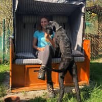 Sitterprofilbild: sarah V.