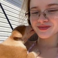 Sitter Profile Image: Samantha P.