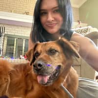 Sitter Profile Image: Arianna B.