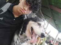 Sitter Profile Image: Mario V.