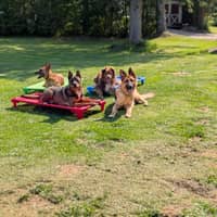 Sitter Profile Image: Melanie R.