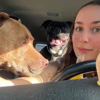 Sitter Profile Image: Harmony C.