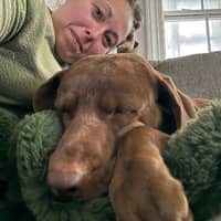 Sitter Profile Image: Candy w.