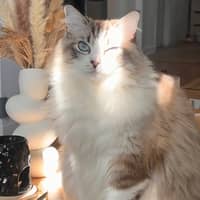 Sitter Profile Image: Annie X.