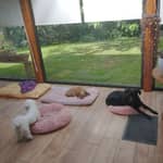 Sitter Profile Image: dany p.