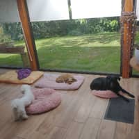 Photo de profil du pet sitter : dany p.