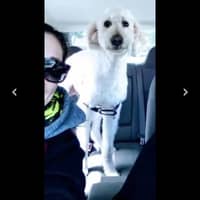 Sitter Profile Image: Toria V.