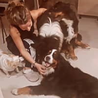 Immagine del profilo del sitter: Chiara A.