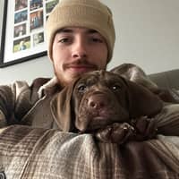 Sitter Profile Image: Harrison P.