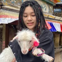 Sitter Profile Image: Kexin Y.