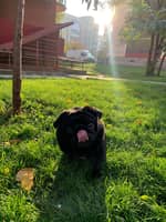 Sitter Profile Image: Valentyna H.