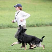 Sitter Profile Image: Madeline D.