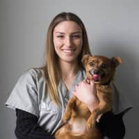 Photo de profil du pet sitter : Stella V.