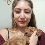 Sitter Profile Image: Selmin K.