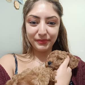 Sitter Profile Image: Selmin K.