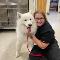 Sitter Profile Image: Lily C.