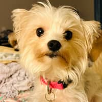 Sitter Profile Image: Christine D.