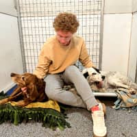 Sitter Profile Image: Tucker R.