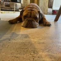 Sitter Profile Image: Yvette P.