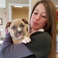 Sitter Profile Image: Andréa S.