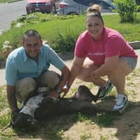 Sitter Profile Image: Taylor & Camarrone L.