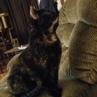 Sitter Profile Image: Jessica W.