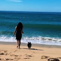 Sitter Profile Image: Christina C.