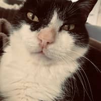 Photo de profil du pet sitter : Clara L.