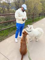 Sitter Profile Image: Daniel E.