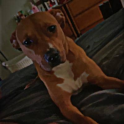 Sitter Profile Image: Mykal V.