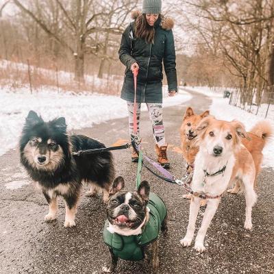 cat sitter etobicoke