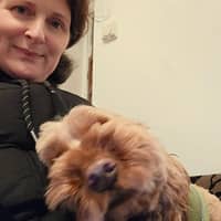 Sitter Profile Image: Denise, Joanne H.