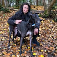 Sitter Profile Image: Theresa H.