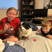 Sitter Profile Image: Liz S.