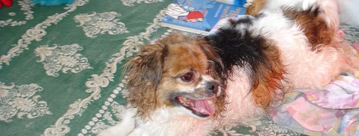 Image 0