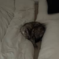 Sitterprofilbild: Charlotte L.