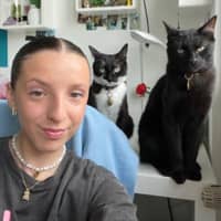 Photo de profil du pet sitter : Julia D.