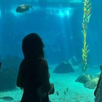 Sitter Profile Image: Fanny A.