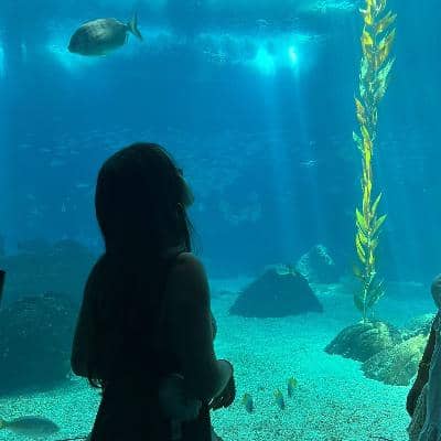 Sitter Profile Image: Fanny A.