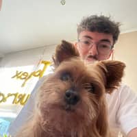 Photo de profil du pet sitter : Enzo H.