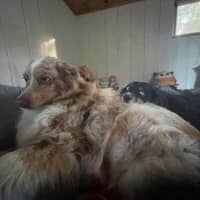 Sitter Profile Image: Ingrid T.