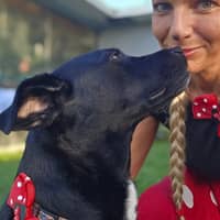 Sitter Profile Image: Amanda D.