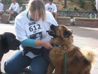 Sitter Profile Image: Becky S.