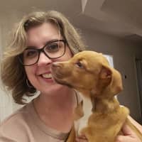 Sitter Profile Image: Victoria H.