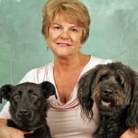 Sitter Profile Image: Barbara H.