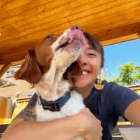 Sitter Profile Image: Samantha H.