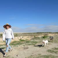 Sitter Profile Image: Hannah M.