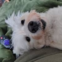 Sitter Profile Image: Nancy M.