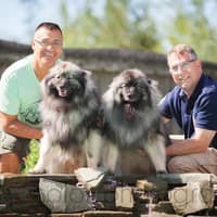 Sitter Profile Image: Alan & Luis B.